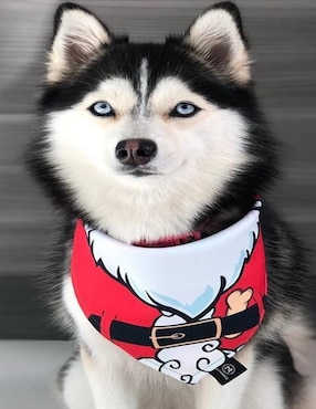 Pañuelo para mascotas Navidad doble vista Mi Pañuelo