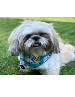 Collar Mi Pañuelo de tela para perro y gato