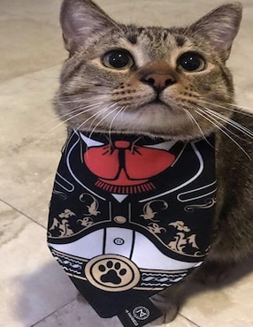 Pañuelo para mascotas Mi Pañuelo Charro