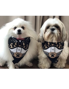 Pañuelo para mascotas Mi Pañuelo Charro