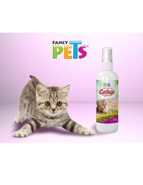 Extracto de catnip para Gato Fancy Pets
