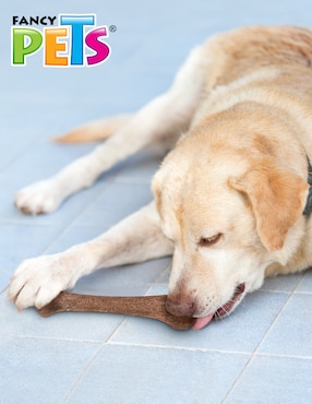 Juguete para perro Fancy Pets