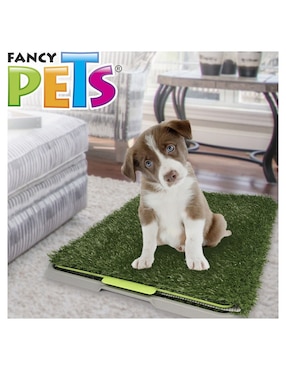 Tapete entrenador Fancy Pets para perro