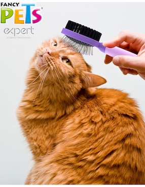 Cepillo Fancy Pets para gato