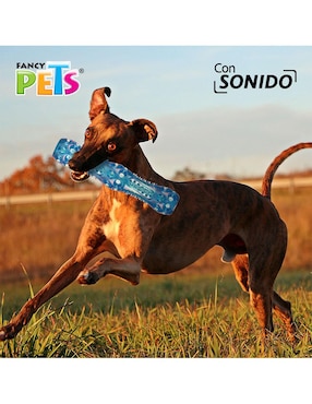 Juguete para Perro Fancy Pets