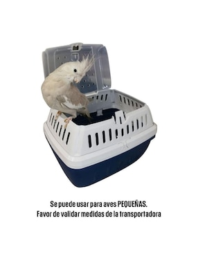 Transportadora para viaje pequeñas especies Moderna