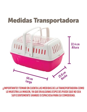 Transportadora para viaje pequeñas especies Moderna