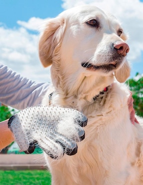 Guante para cepillar y masajear Innova Goods para perro y gato
