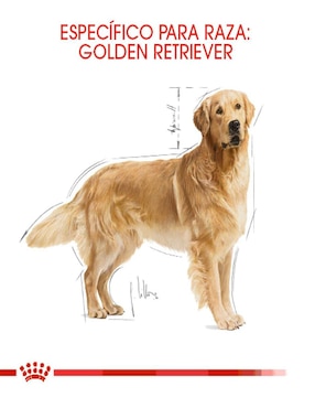 Croqueta Royal Canin de Pollo para perro etapa adulto contenido 13.6 kg
