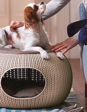 Cama para perro y gato Keter