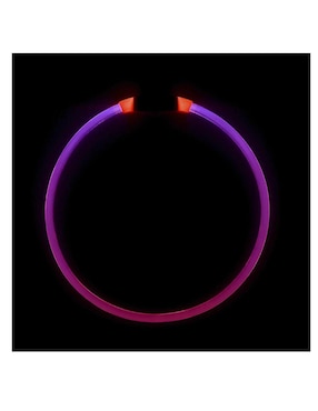 Collar Nite Ize con luz para perro