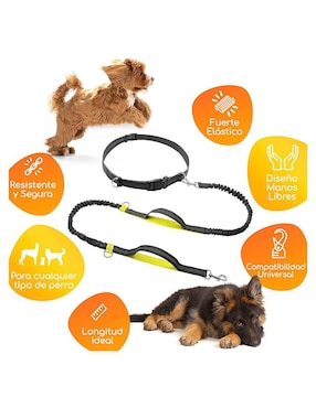 Correa Mascretta de nylon de paseo para perro