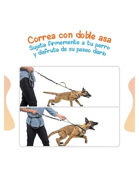 Correa Mascretta de nylon de paseo para perro