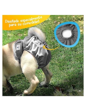 Pañal para perro Mascretta