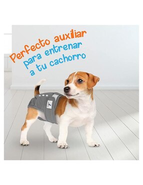 Pañal para perro Mascretta