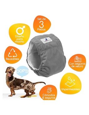 Pañales reusables Mascretta para perro