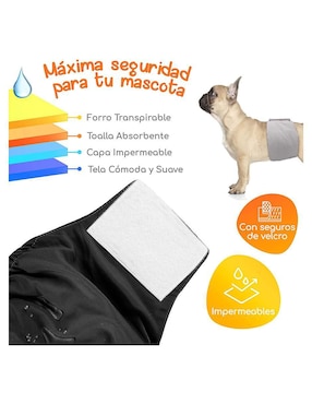 Pañales reusables Mascretta para perro