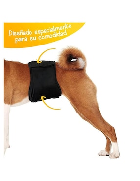 Pañales reusables Mascretta para perro