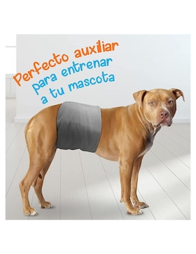 Pañales reusables Mascretta para perro