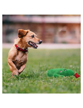 Peluche para perro Mascretta