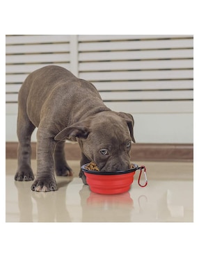 Plato para mascota Mascretta