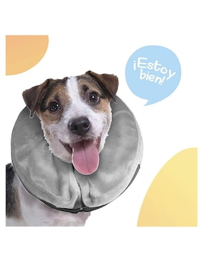 Collar Isabelino Inflable Mascretta para perro y gato