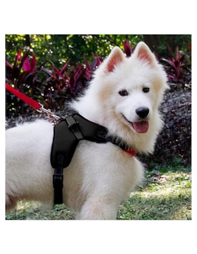 Pechera para perro Mascretta
