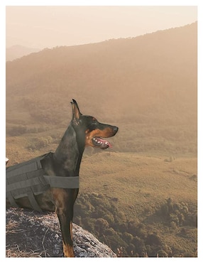 Pechera para perro Mascretta de nylon
