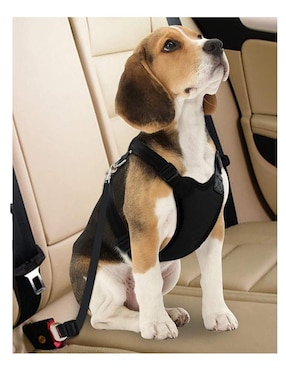 Pechera para perro Mascretta de tela