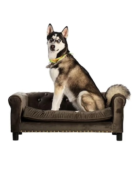 Cama para perro Maypet