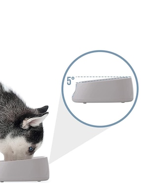 Plato para mascota Rhino 2 kg