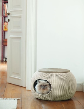 Cama para perro y gato Keter