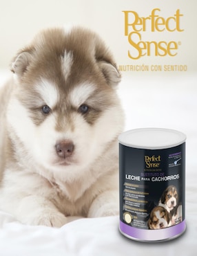 Sustituto de leche Perfect Sense para perro etapa cachorro contenido 500 gr