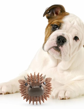 Pelota para perro Kikkerland