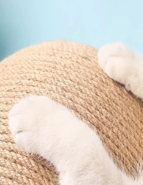 Rascador para gato