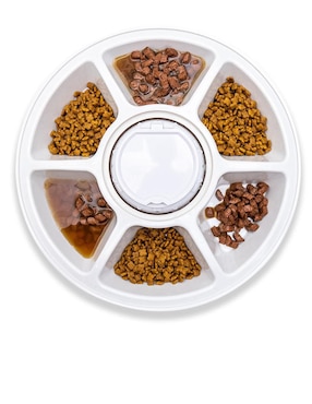 Plato para mascotas Petology 300 g