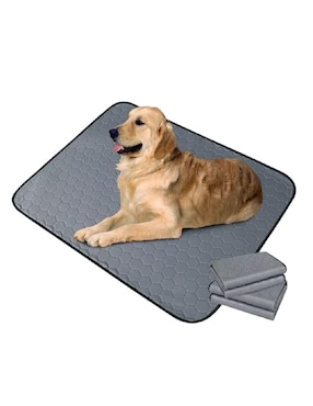 Tapete entrenador para perro