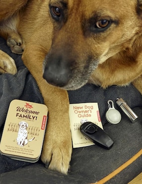 Kit de juguetes para perro Kikkerland