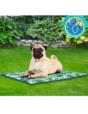 Cama para perro