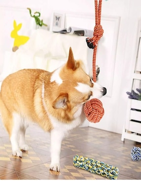 Kit de juguetes para perro Genérica
