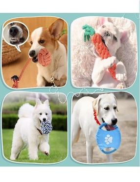 Kit de juguetes para perro Genérica