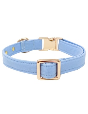 Collar Lorenzo The Dog para perro