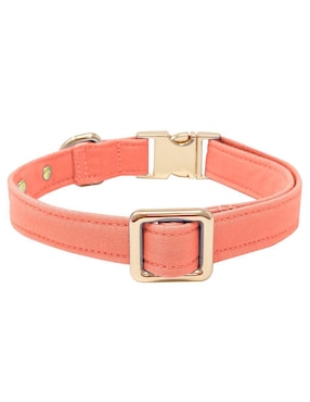 Collar Lorenzo The Dog para perro