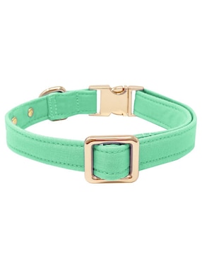 Collar Lorenzo The Dog para perro