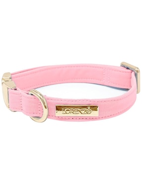 Collar Lorenzo The Dog para perro