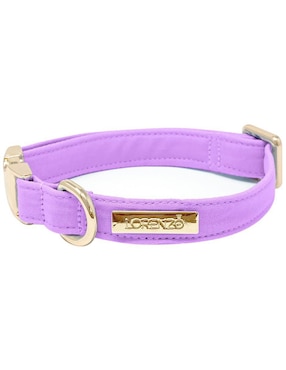 Collar Lorenzo The Dog para perro