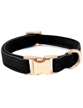 Collar Lorenzo The Dog Para Perro