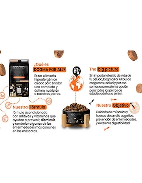 Croqueta Dogma de Salmón para perro todas las etapas contenido 10 kg
