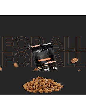 Croqueta Dogma de Salmón para perro todas las etapas contenido 10 kg