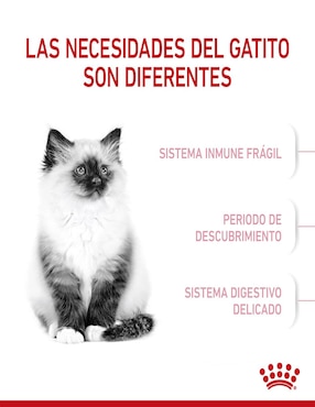 Croqueta Royal Canin para gato etapa cachorro contenido 1.3 kg
